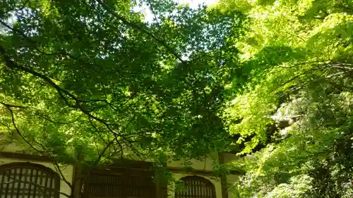 地蔵院のその他建物