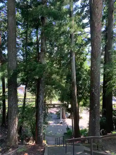 熊野神社の鳥居