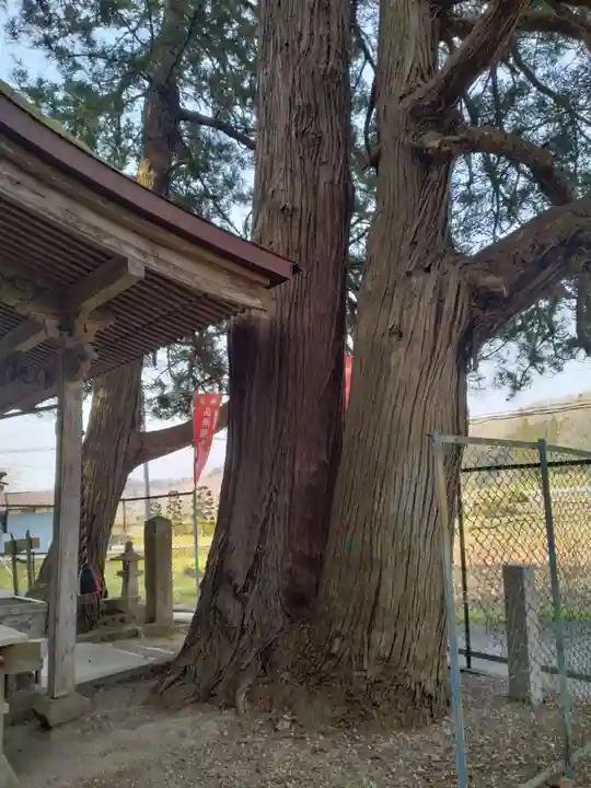 富沢磨崖仏郡(宮城県)