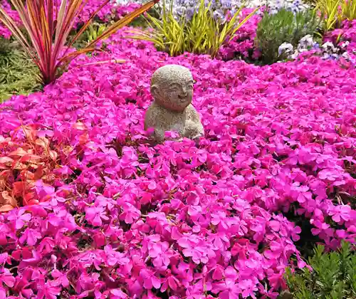 寿量山　速成寺の地蔵