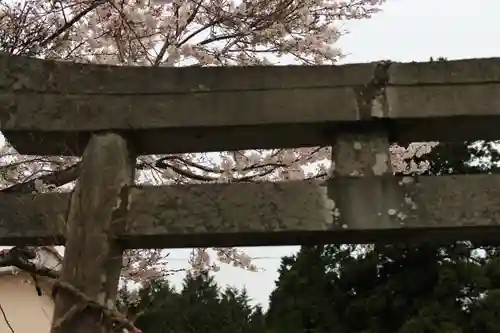 八幡宮の鳥居