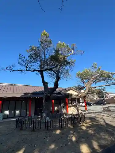 浜松秋葉神社(静岡県)