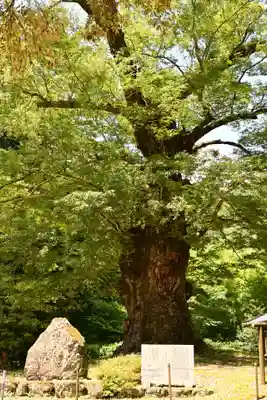 廣瀬神社(愛媛県)