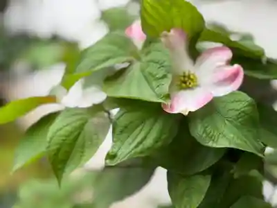 西方山極楽寺(岐阜県)
