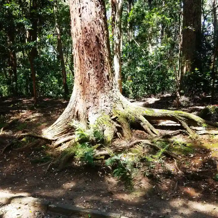鹿島神宮の自然