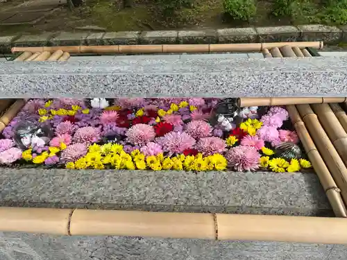 竹駒神社(宮城県)