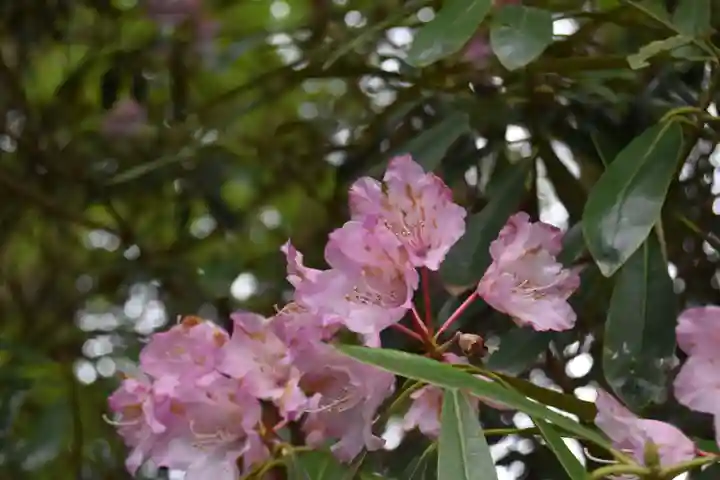 比叡山延暦寺の周辺