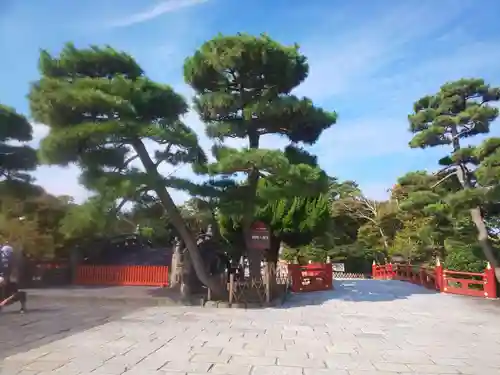 鶴岡八幡宮の庭園