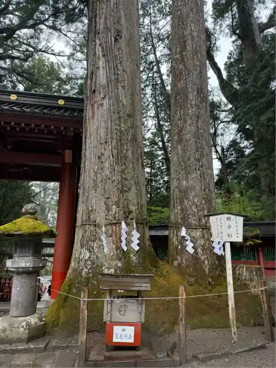 日光二荒山神社(栃木県)