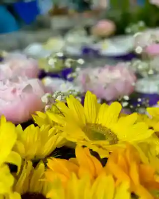 札幌諏訪神社の手水舎