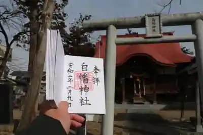白幡神社の鳥居