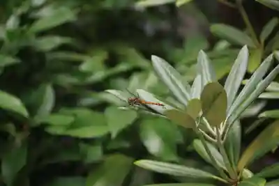 阿邪訶根神社(福島県)