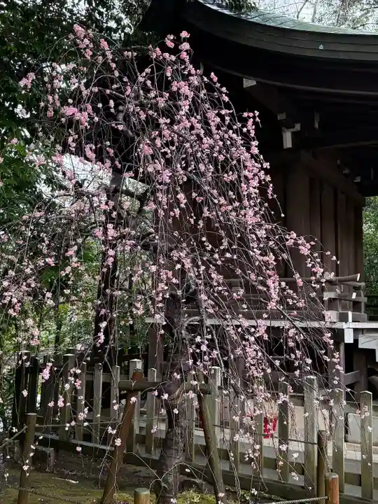 武蔵一宮氷川神社(埼玉県)