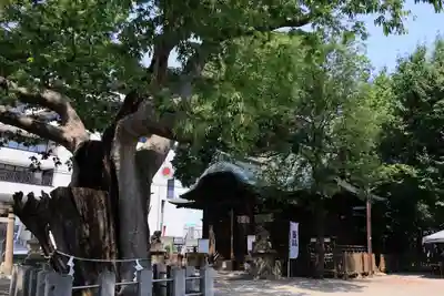 阿邪訶根神社の本殿・本堂