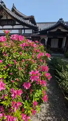 日體寺(京都府)