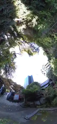 大綱金刀比羅神社(神奈川県)