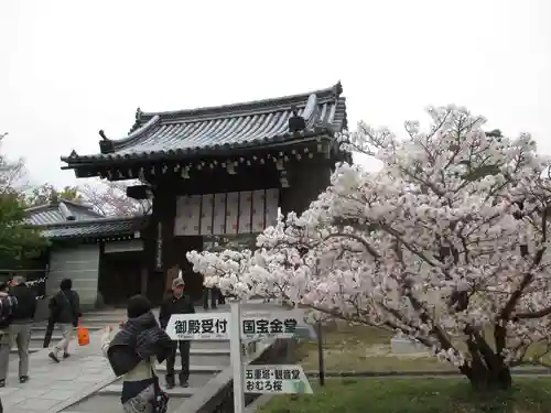 仁和寺の山門