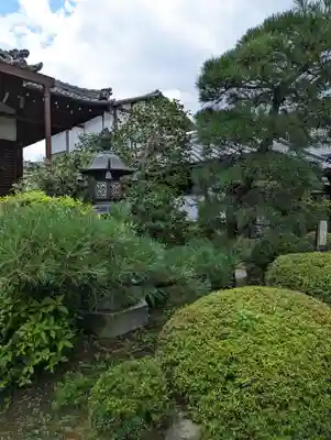 蓮光寺(京都府)