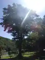 北湯沢三峯神社の自然