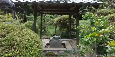 徳蓮寺の手水舎