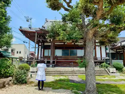 妙泰寺の本殿・本堂