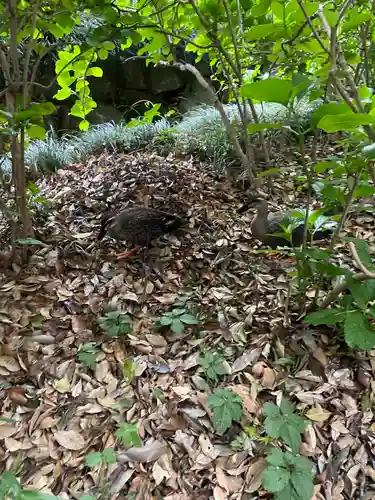 武蔵一宮氷川神社(埼玉県)