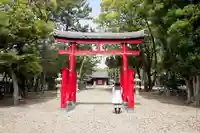 白山比売神社の鳥居