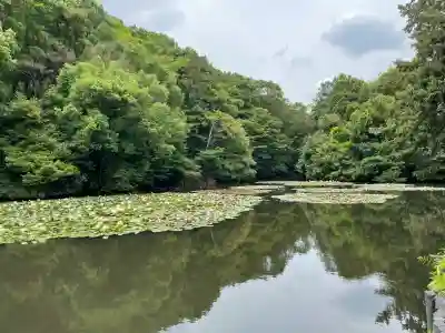 明治神宮(東京都)