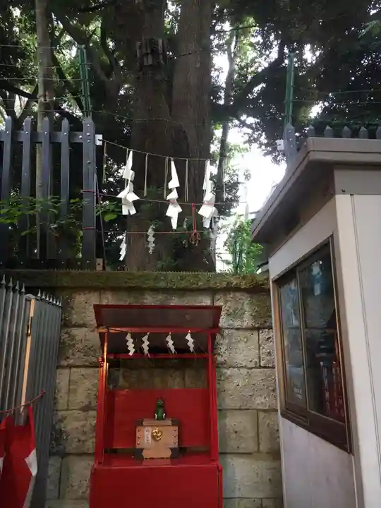 太子堂八幡神社の自然