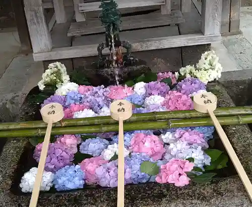 藤森神社の手水舎