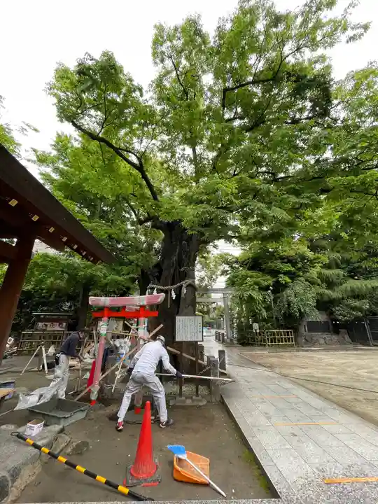 新田神社の自然