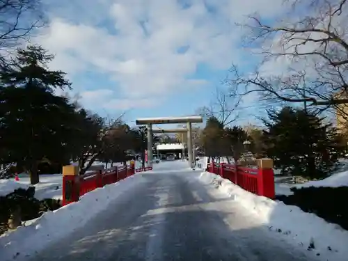 札幌護國神社の鳥居