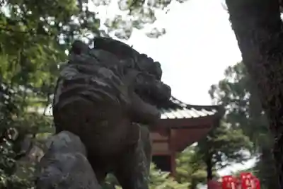 筑波山神社の狛犬