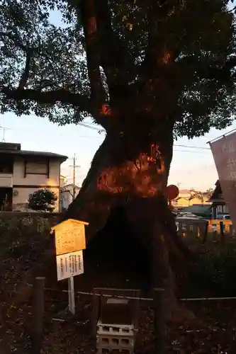 細江神社(静岡県)