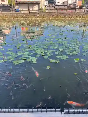 青井阿蘇神社(熊本県)
