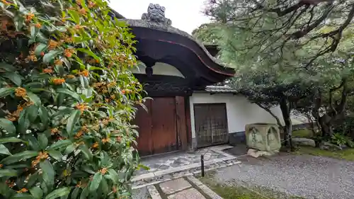 大心院(京都府)