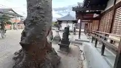 八幡神社(奈良県)