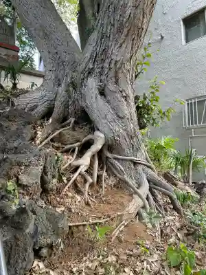 岩山稲荷神社(千葉県)