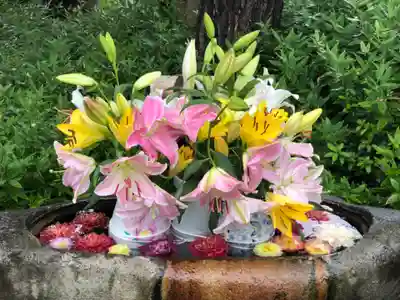 伊和志津神社の手水舎