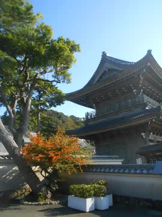 光明寺のその他建物