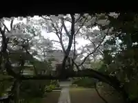 教恩寺のその他建物