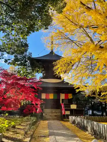 鑁阿寺のその他建物