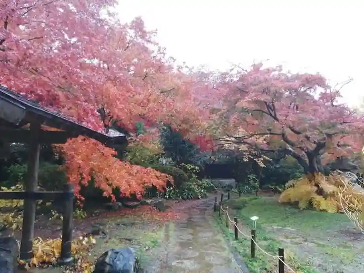 薬王寺の庭園