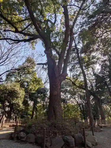 世田谷八幡宮(東京都)