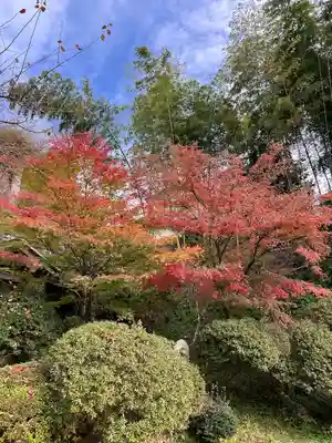 岩角山 岩角寺(福島県)
