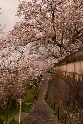 瑞龍寺(沖浦観音)(愛媛県)