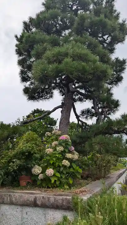 光福寺(京都府)