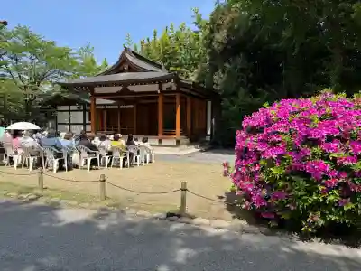 阿佐ヶ谷神明宮の{uncategorized: "未分類", other: "その他", undefined: "問題あり", building: "その他建物", grave: "お墓", sacred_gate: "鳥居", guardian: "狛犬", statue: "像", buddha: "仏像", history: "歴史", nature: "自然", garden: "庭園", animal: "動物", pagoda: "塔", temizu: "手水舎", mountain_gate: "山門・神門", sanctuary: "本殿・本堂", subordinate: "末社・摂社", art: "芸術", scenery: "景色", jizo: "地蔵", ema: "絵馬", goshuin: "御朱印", omikuji: "おみくじ", items: "授与品その他", amulet: "お守り", goshuincho: "御朱印帳", eats: "食事", festival: "お祭り", votive_dance: "神楽", shichigosan: "七五三参", wedding: "結婚式", experience: "体験その他", initially: "初詣", around: "周辺", anti_infection: "感染症対策"}