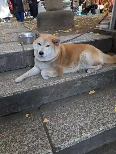 笠䅣稲荷神社(神奈川県)