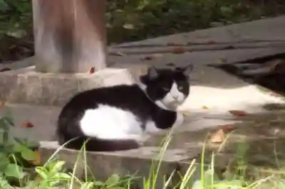 大垣大神宮(岐阜県)